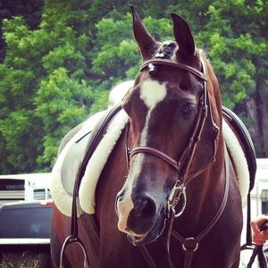 Meet your Posher, Rachel